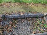 image of grave number 796528
